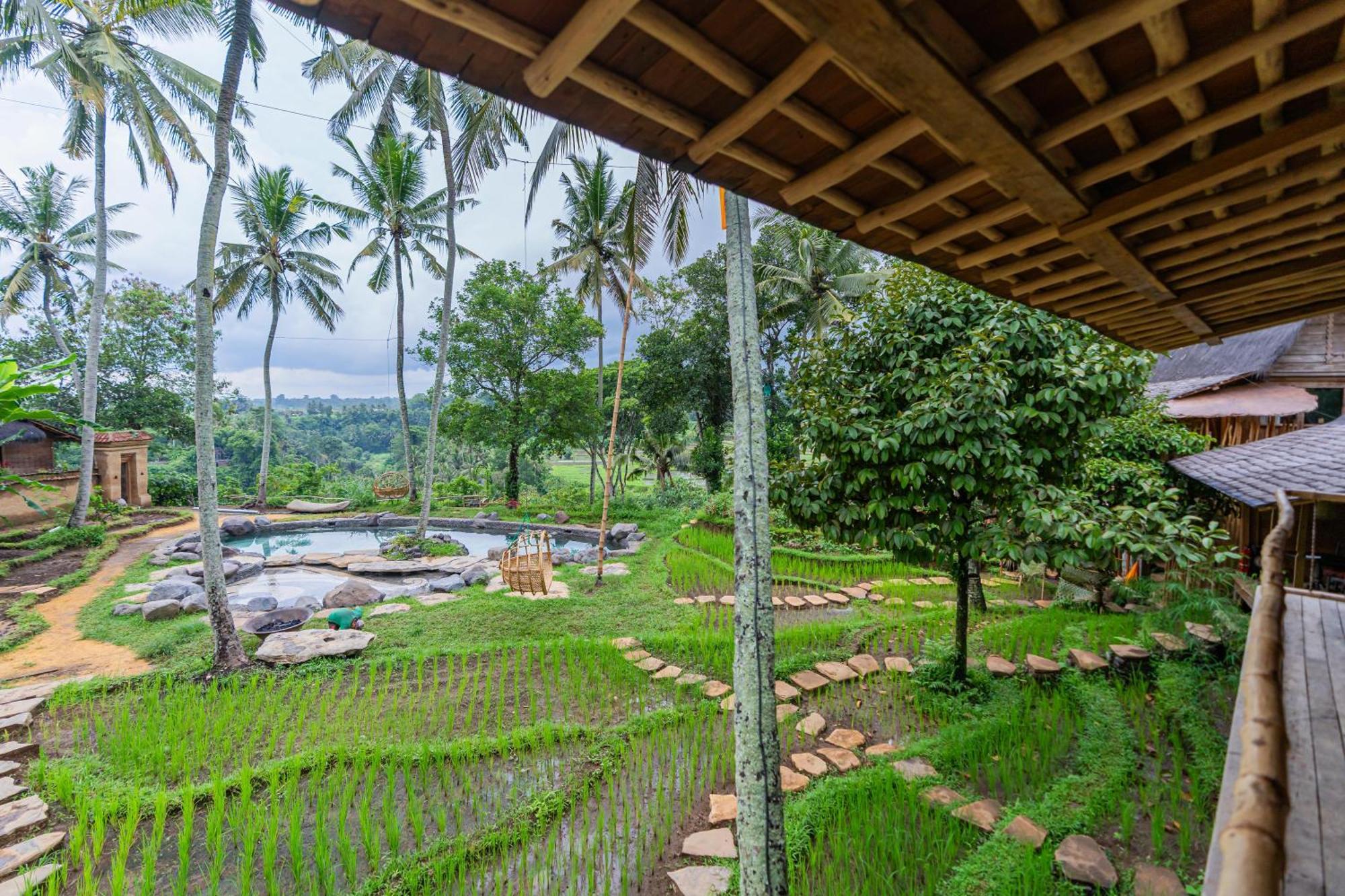 Bambu Indah Resort Ουμπούντ Εξωτερικό φωτογραφία