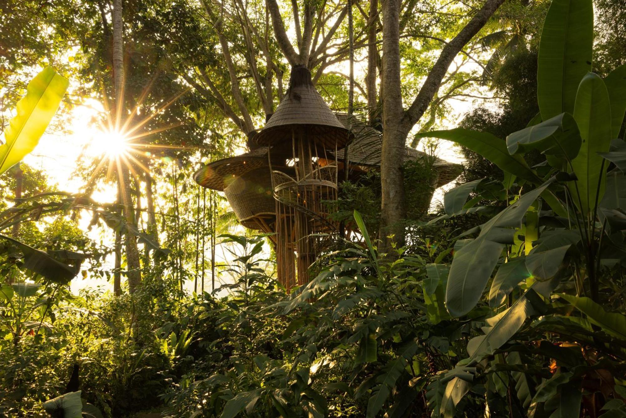 Bambu Indah Resort Ουμπούντ Εξωτερικό φωτογραφία