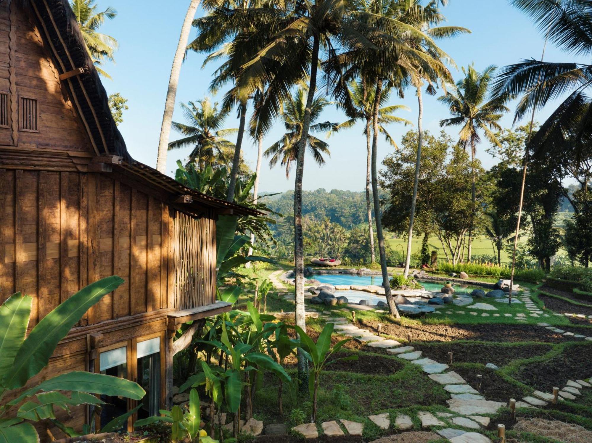 Bambu Indah Resort Ουμπούντ Εξωτερικό φωτογραφία